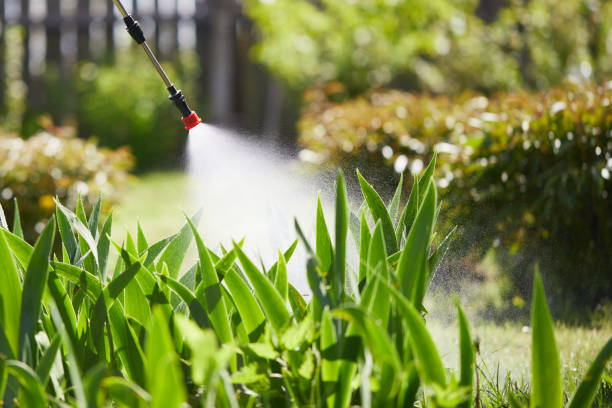24/7 Emergency Wasp Removal experts in Winnsboro, LA