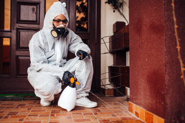Reliable Wasp Removal contractor in Winnsboro, LA by Show Me Pest Control
